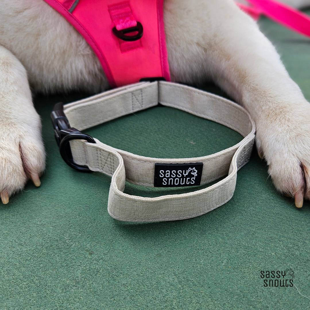 Classic Collar with Handle in Sand