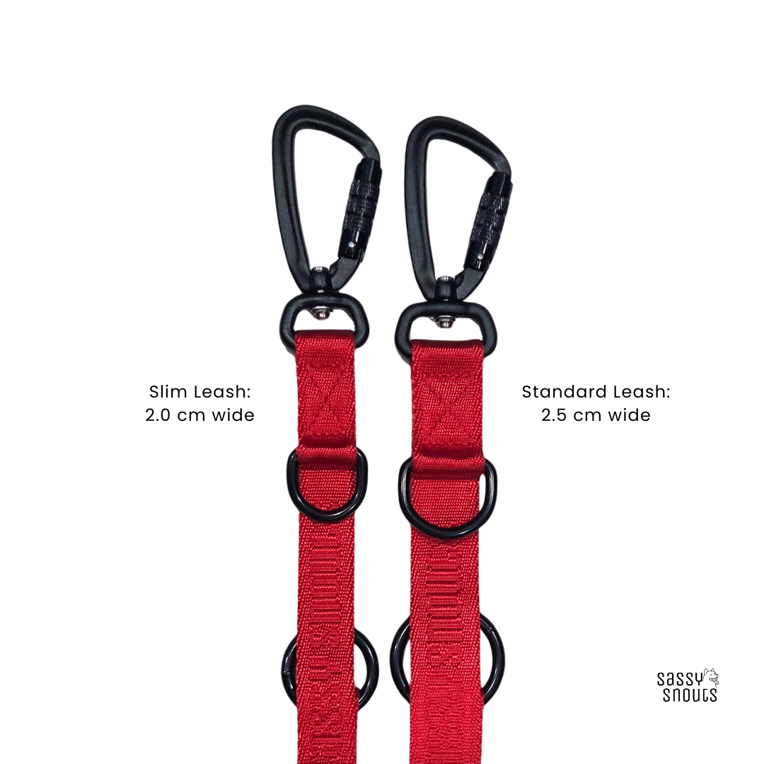 Signature Multi-way Leash (2.5 cm) in Poppy Red