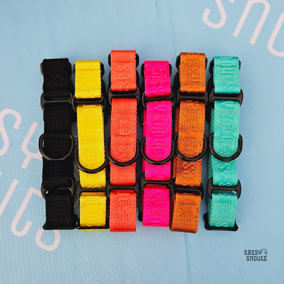 Signature Martingale Collar in Luxe Black (Gen 2.0)