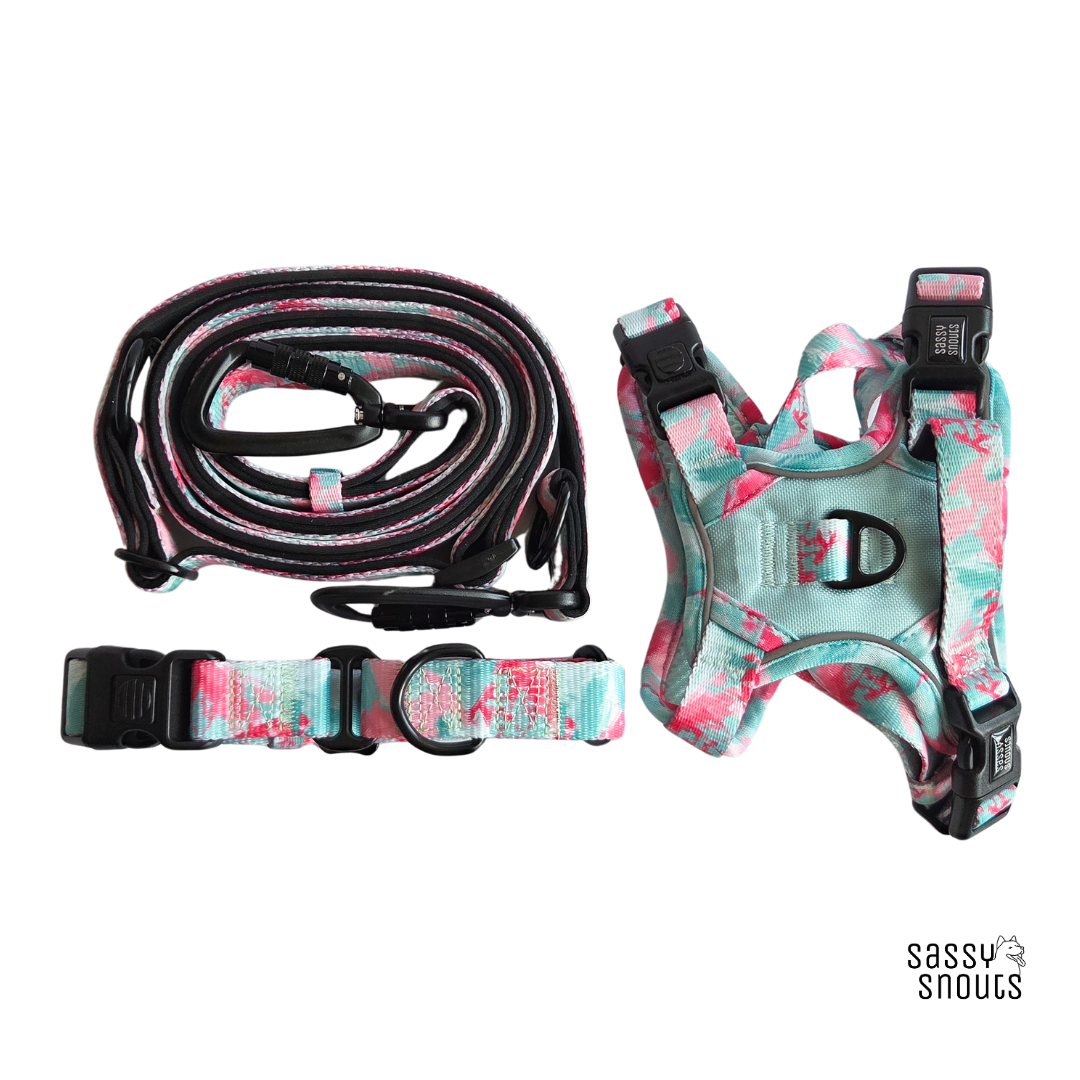 Classic Martingale Collar in Rosebud