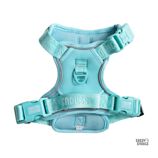 Signature Harness in Turquoise (Gen 2.0)