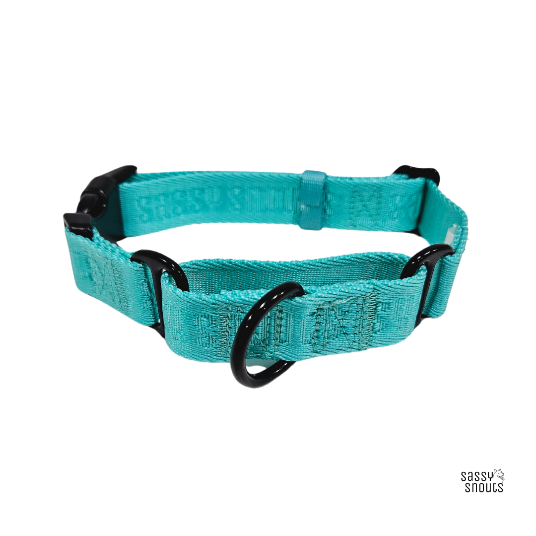 Signature Martingale Collar in Turquoise (Gen 2.0)