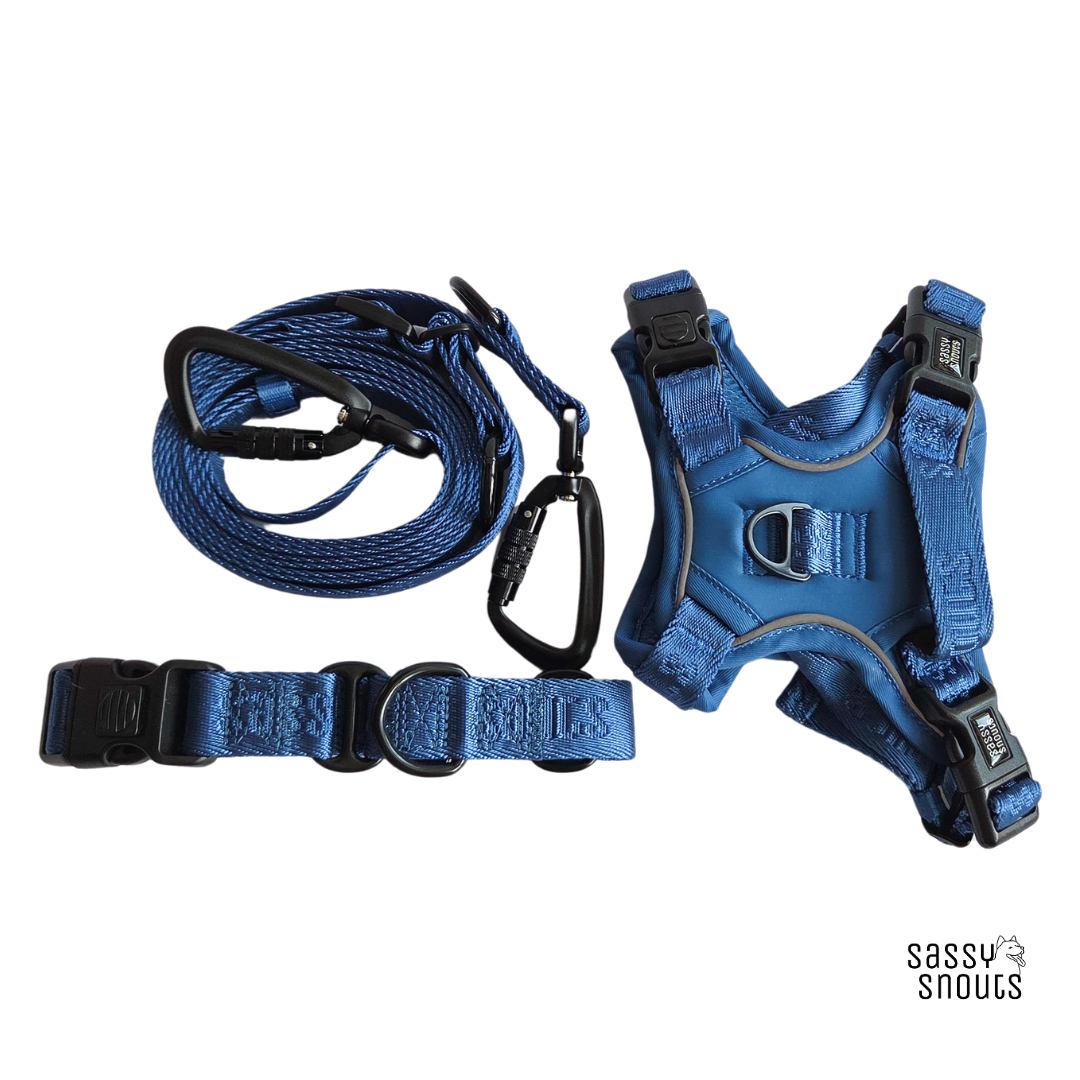 Signature Multi-way Leash (2.5 cm) in Twilight Blue