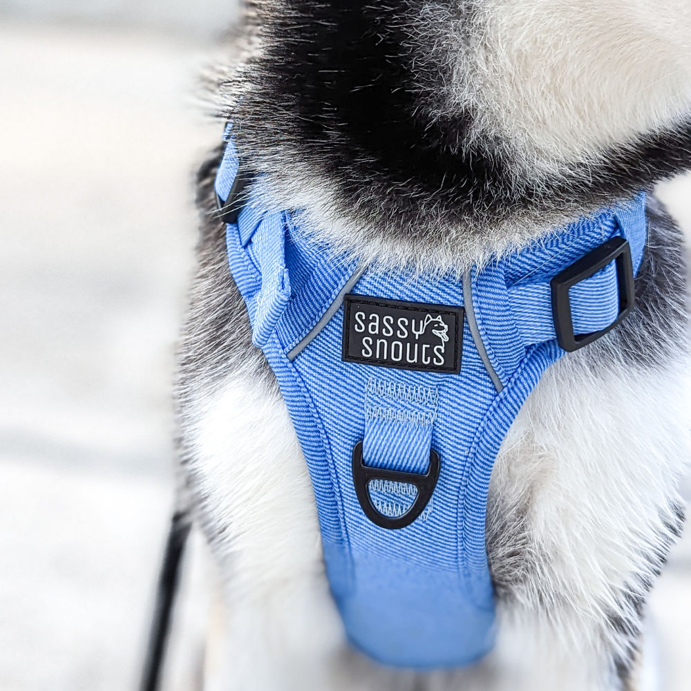 Classic Harness in Light Denim (Gen 1.0)