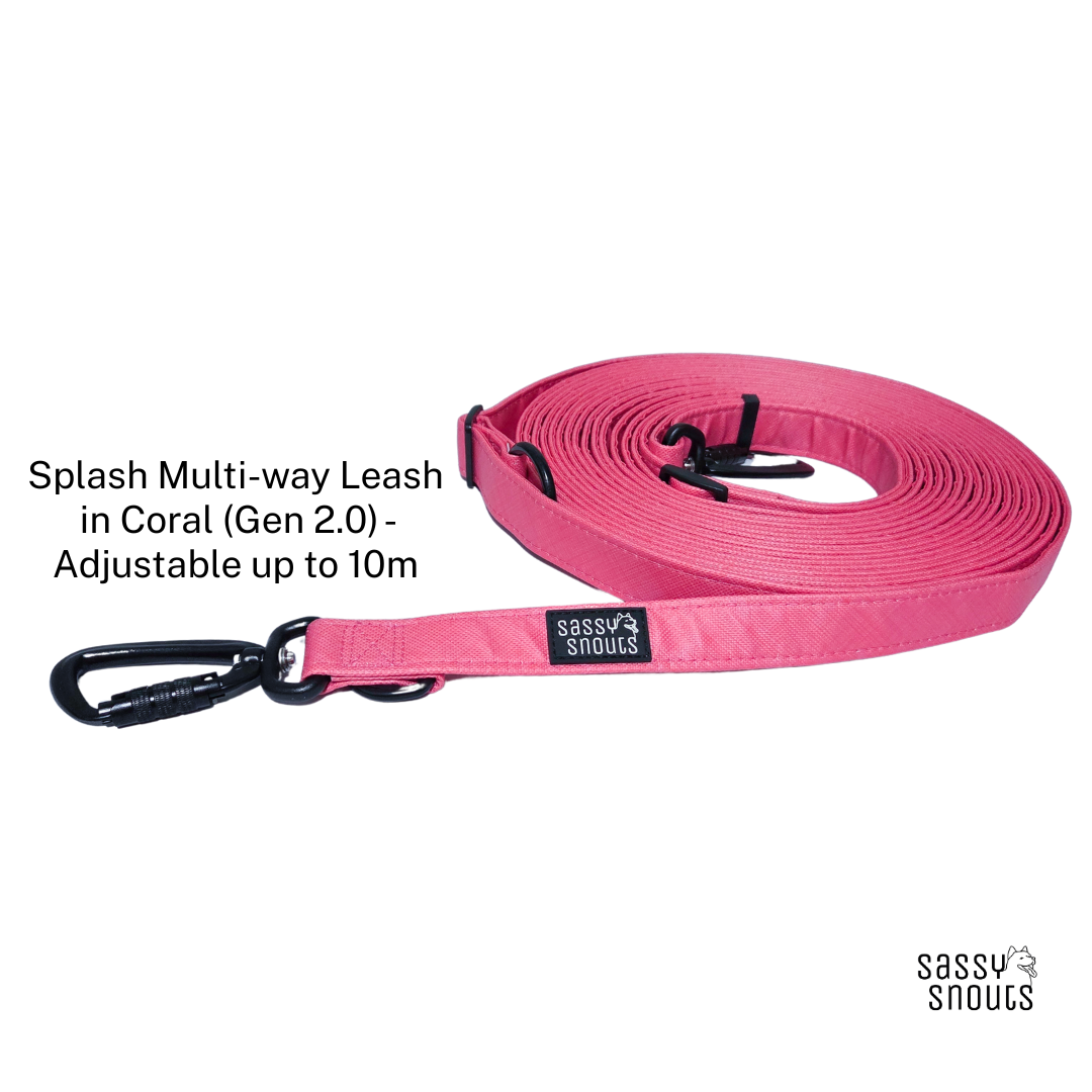 Splash Multi-way Leash in Coral (Gen 2.0)