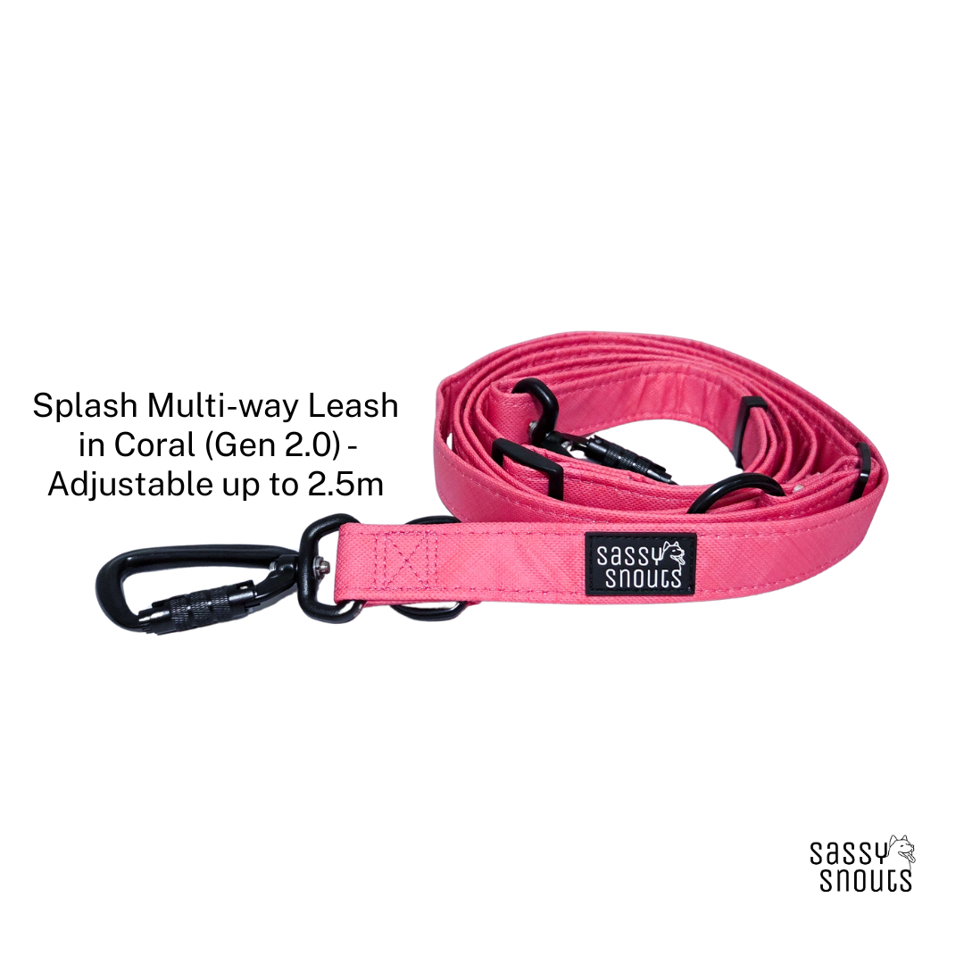 Splash Multi-way Leash in Coral (Gen 2.0)