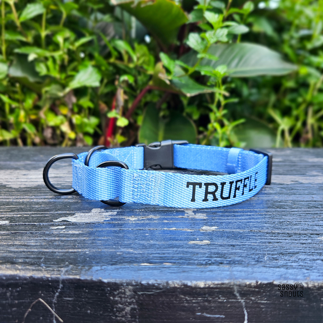 Classic Martingale Collar in Light Denim