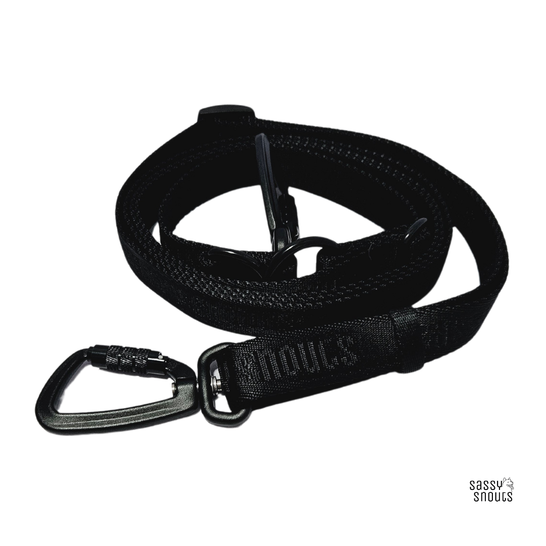Signature Multi-way Leash in Luxe Black (Gen 2.0)