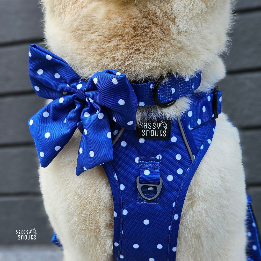 Classic Martingale Collar in Whimsical Royal (Gen 2.0)