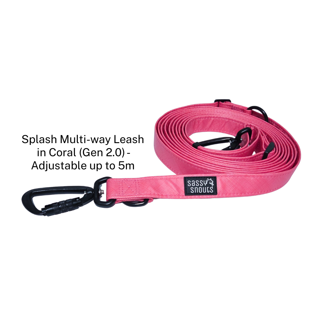 Splash Multi-way Leash in Coral (Gen 2.0)