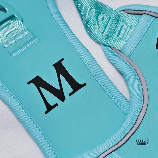 All Harnesses - Add-on Personalisation - Monogram Position