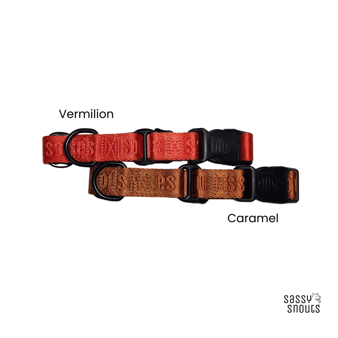 Signature Martingale Collar in Vermilion (Gen 2.0)