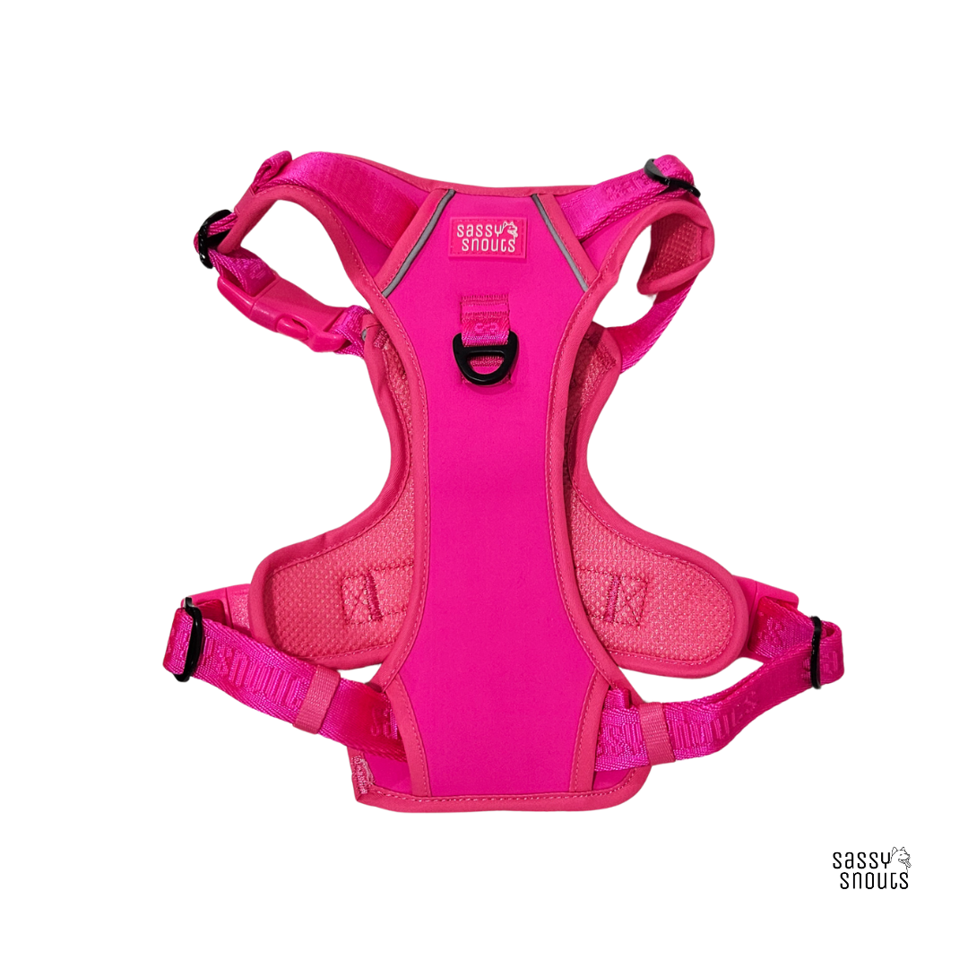 Signature Harness in Flamingo (Gen 2.0)