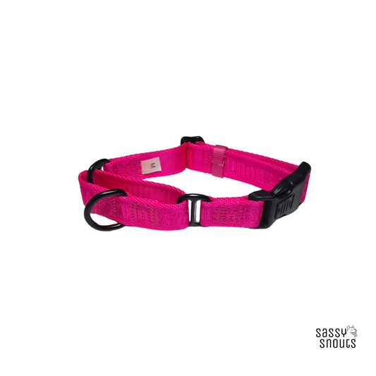 Signature Martingale Collar in Flamingo (Gen 2.0)