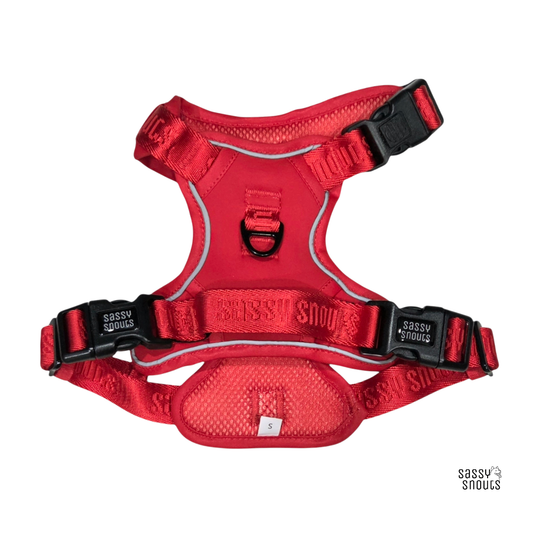 Signature Harness in Poppy Red