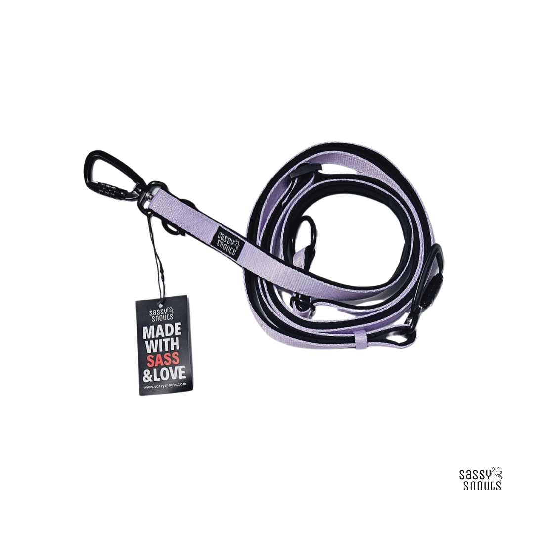 Classic Multi-way Padded Leash in Lilac (Gen 2.0)