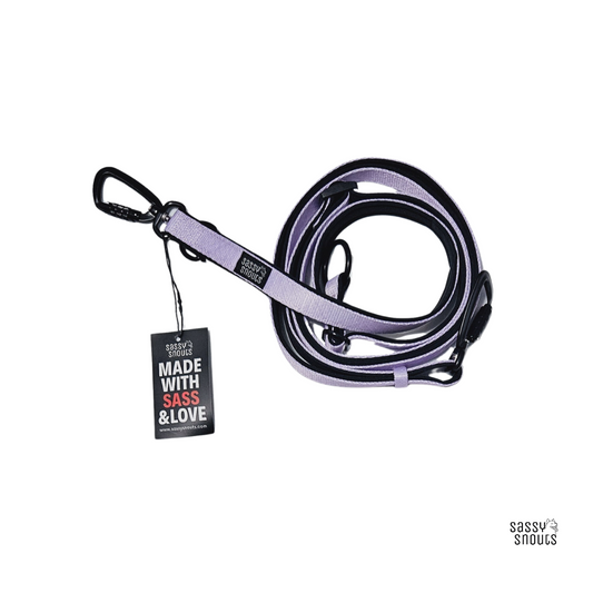 Classic Multi-way Padded Leash in Lilac (Gen 2.0)