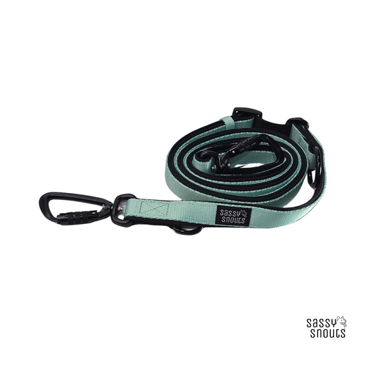 Classic Multi-way Padded Leash (2.5 cm) in Mint