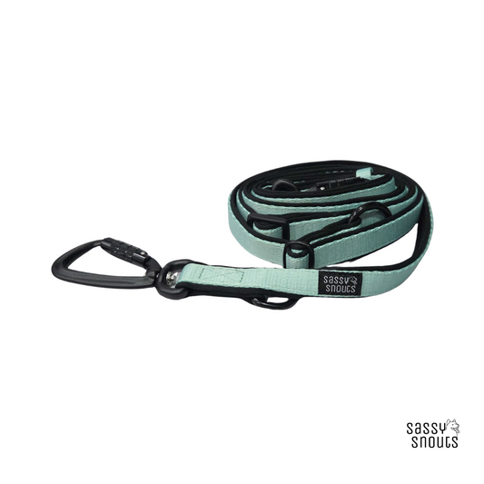 Classic Multi-way Padded Slim Leash (2 cm) in Mint