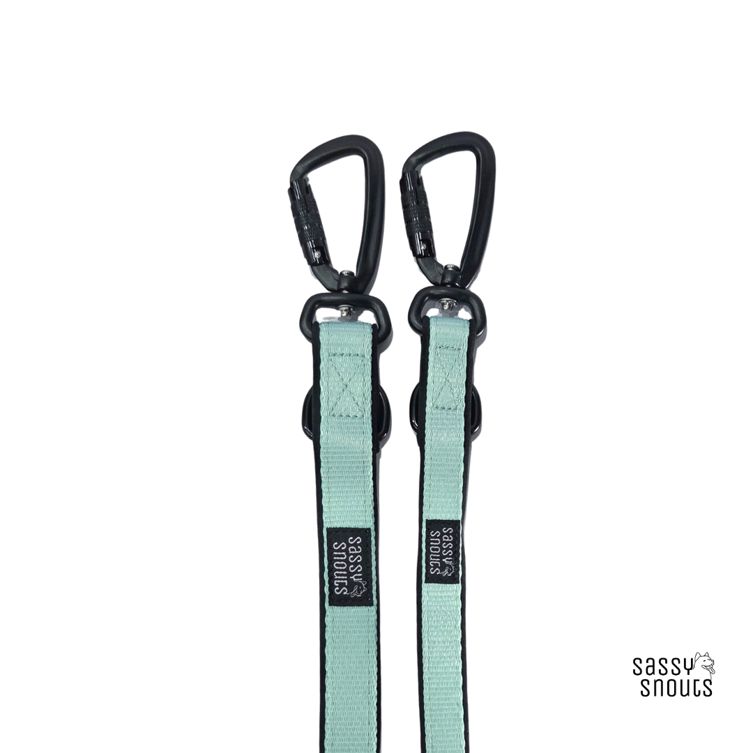 Classic Multi-way Padded Leash (2.5 cm) in Mint