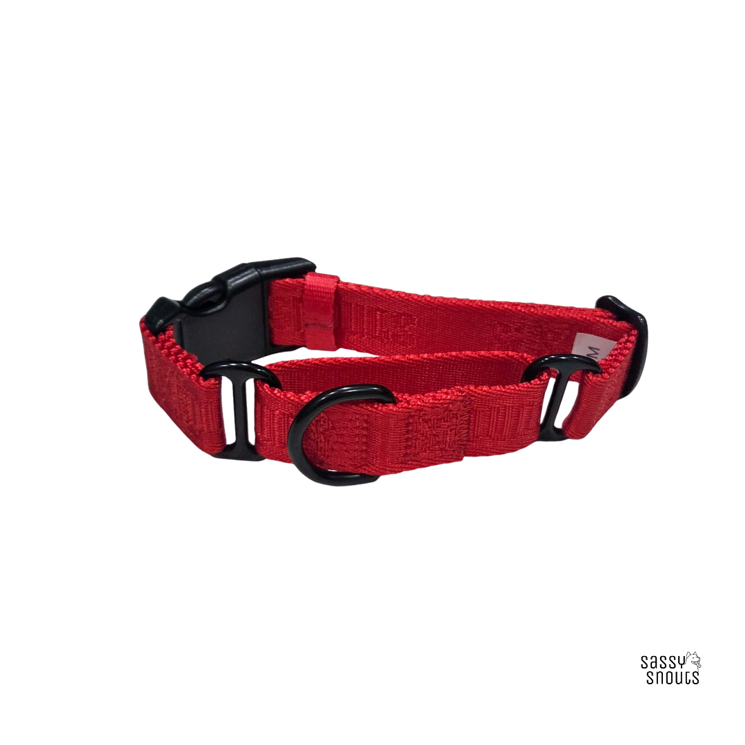 Signature Martingale Collar in Poppy Red