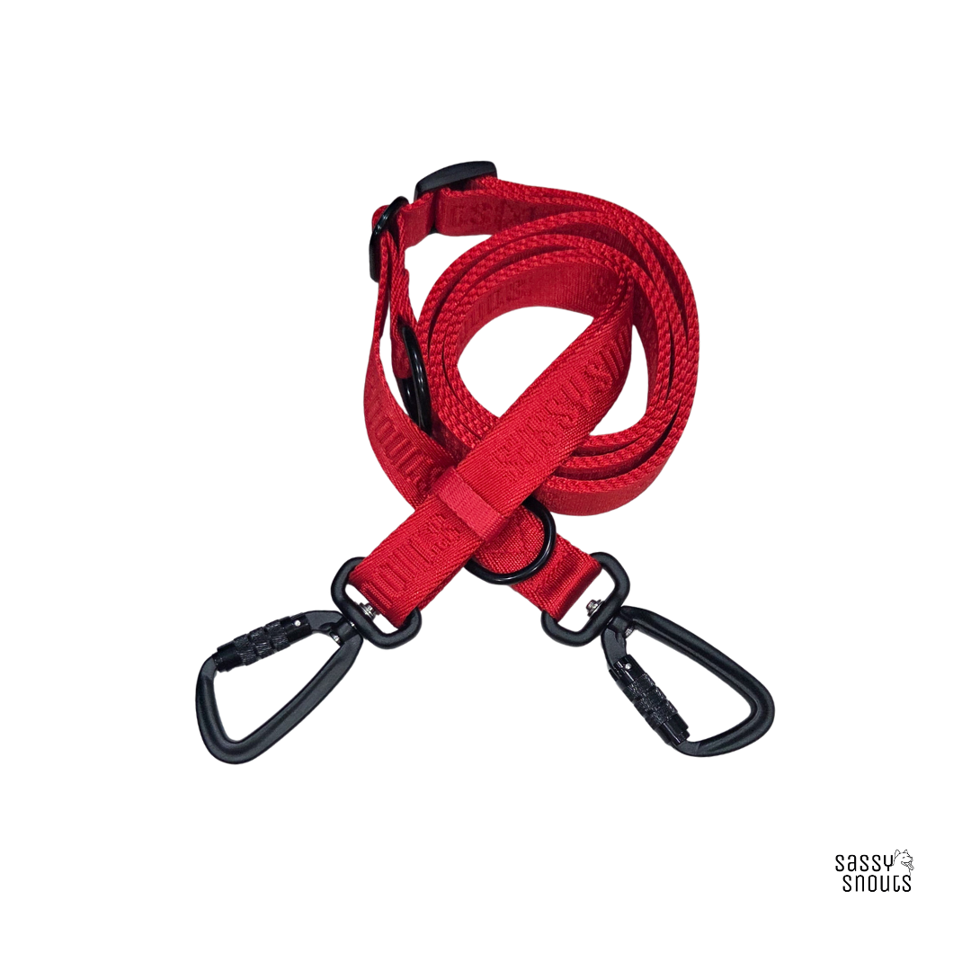 Signature Multi-way Leash (2.5 cm) in Poppy Red