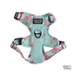 Classic Harness in Rosebud Mint