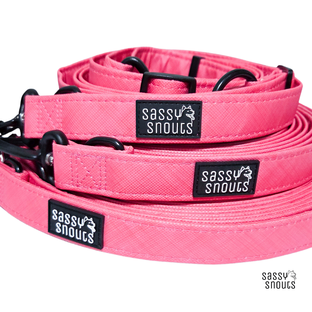 Splash Multi-way Leash in Coral (Gen 2.0)