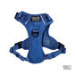 Signature Harness in Twilight Blue