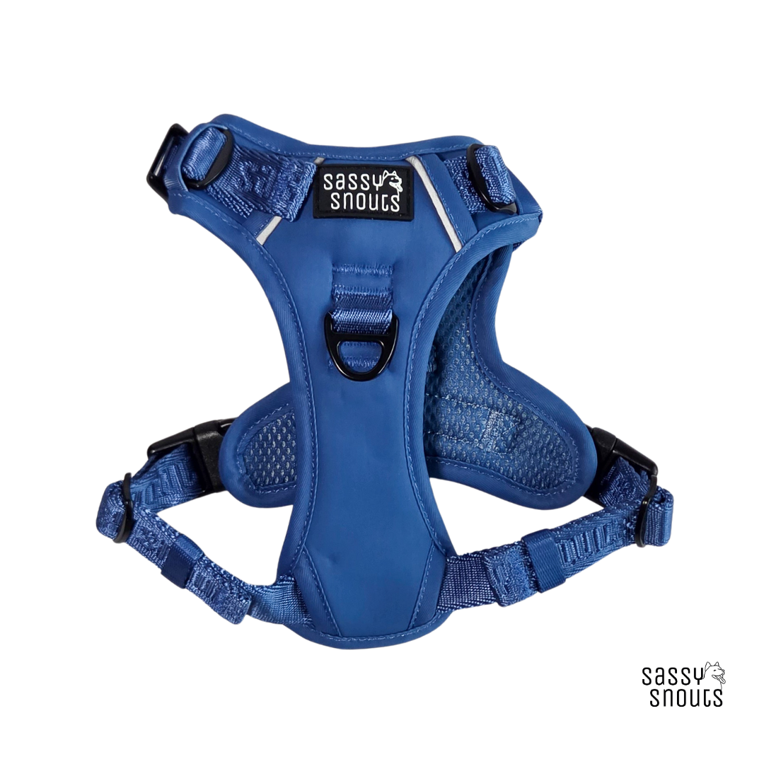 Signature Harness in Twilight Blue