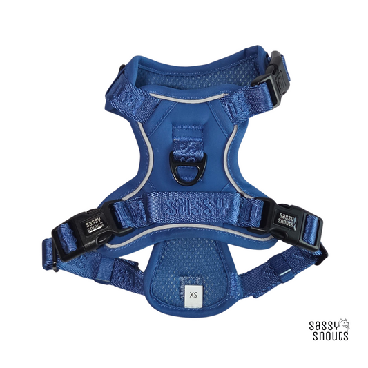 Signature Harness in Twilight Blue