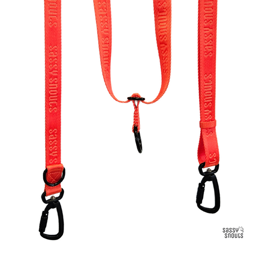 Signature Multi-way Leash in Vermilion (Gen 2.0)