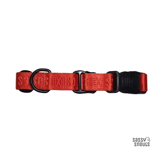 Signature Martingale Collar in Vermilion (Gen 2.0)