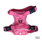 Splash Harness in Coral (Gen 2.0)