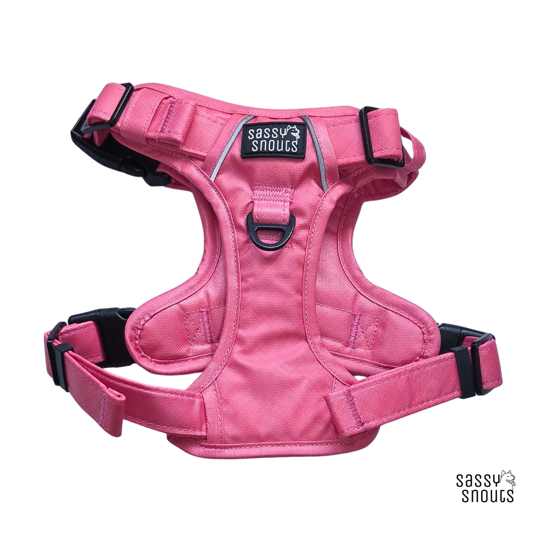 Splash Harness in Coral (Gen 2.0)