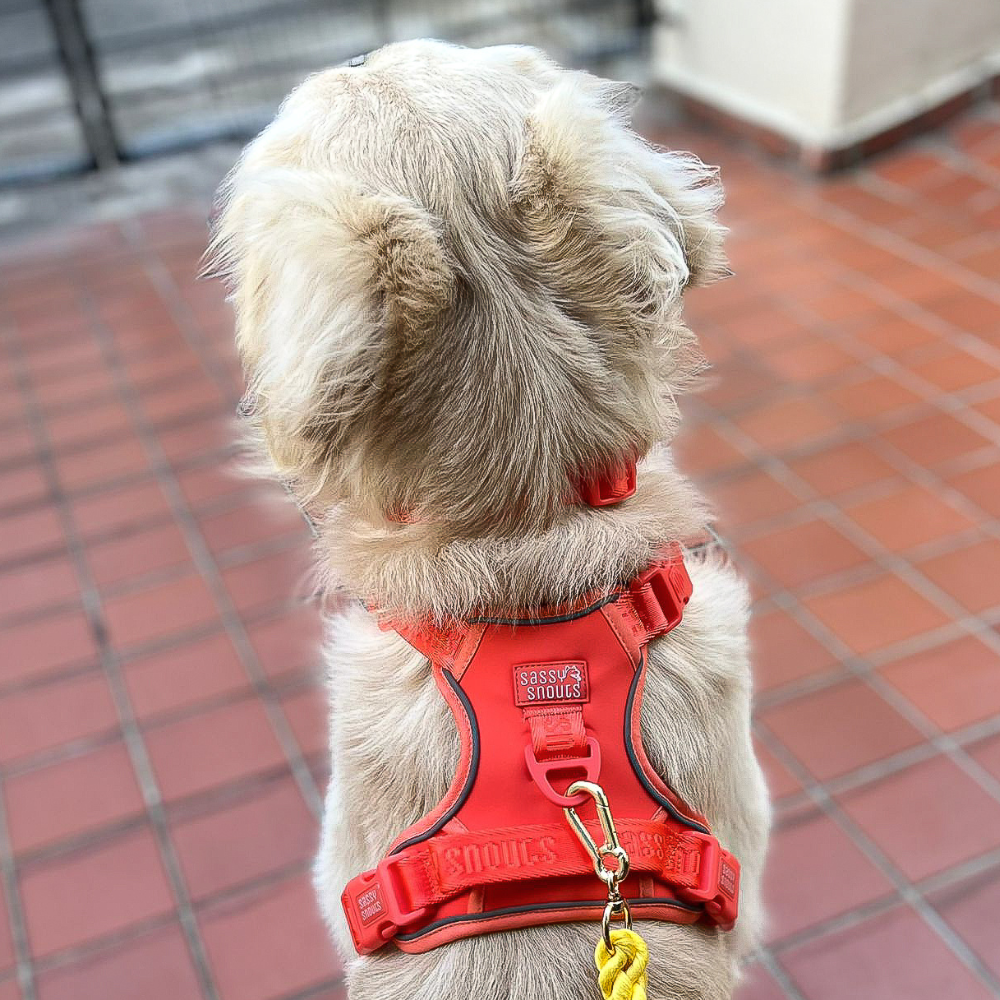 Signature Harness in Vermilion (Gen 1.0)